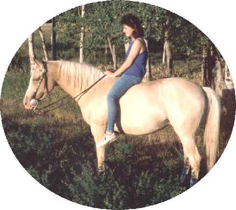 Abolene's Lil Muff - 1979 3/4 Arab - a wonderful family horse - the perfect babysitter!