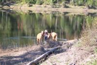 Watering the girls at Skimikin