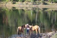Skimikin Aug 2006