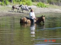 Skimikin: Great place to take the horses for a swim