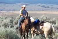 Cattle Drive 2004