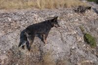 Jeddah and Riley look over the cliff