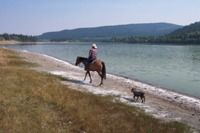 on the shores of Soda Lake