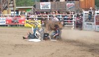 Falkland 2003 - Bullfighter's Poker
