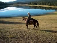 A Favourite shot from Cattle Drive 2003