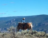 Cattle Drive 2003 - Cheyenne, Muffy and Ivan