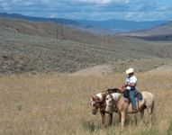 Cattle Drive 2003 - Cheyenne, Muffy and Ivan