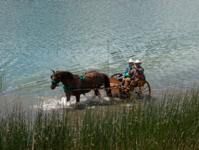 John driving thru the lake - Cattle Drive 2003