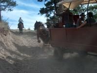 Wagons making the last pull into camp - Cattle Drive 2003