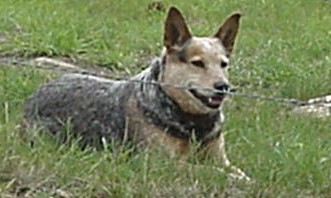 Maggie waits for action